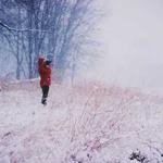 Maude Ebert Profile Picture