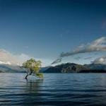 Lyla Schneider Profile Picture