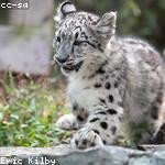 Paxton Hartmann Profile Picture