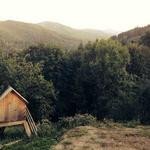 Harley Wuckert Profile Picture