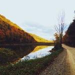 Loma Harris Profile Picture