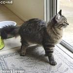 Gwen Hegmann Profile Picture