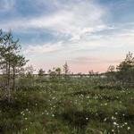 Naomi Altenwerth Profile Picture