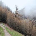 Bessie Runolfsson Profile Picture