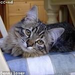 Xander Larkin Profile Picture