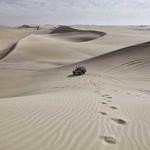 Ramon Fay Profile Picture