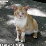 Virgil Bartoletti Profile Picture