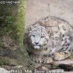 Bernita Zieme Profile Picture