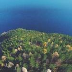 Coy Runolfsson Profile Picture