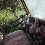 Lauriane Leuschke Profile Picture