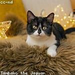 Keagan Spinka Profile Picture