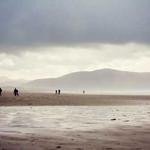 Camden Rowe Profile Picture