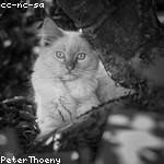 Carli Robel Profile Picture