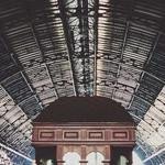 Felix Davis Profile Picture