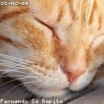 Andy Yundt Profile Picture