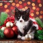 Catalina Predovic Profile Picture