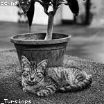 Gordon Oberbrunner Profile Picture