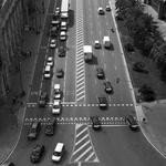 Lottie Ankunding Profile Picture