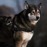 Kayla Kling Profile Picture