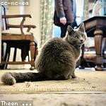 Abdiel Fisher Profile Picture