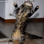 Kendall Will Profile Picture