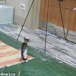 Diana Kohler Profile Picture