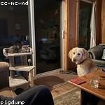 Braden Rice Profile Picture