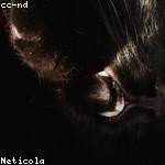 Andreanne McGlynn Profile Picture