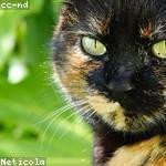 Eleazar Howell Profile Picture