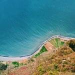 Agnes Upton Profile Picture