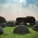 Daphnee Greenfelder Profile Picture