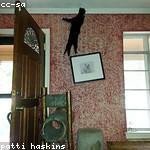 Kenton Wolff Profile Picture