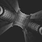 Dorthy Mayert Profile Picture