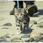 Erick Crooks Profile Picture