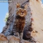 Lillian Sipes Profile Picture