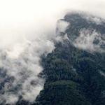 Ron Kling Profile Picture