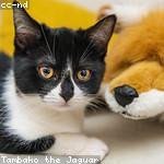 Emely Konopelski Profile Picture