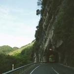 Carolyne Hodkiewicz Profile Picture