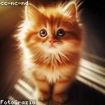 Andres Schmeler Profile Picture