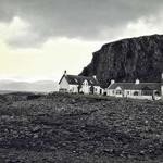 Amber Auer Profile Picture