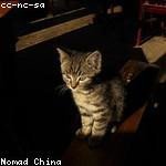 Elvera Reilly Profile Picture