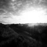 Naomie Deckow Profile Picture