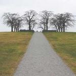 Cecil Dietrich Profile Picture