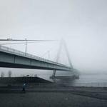 Celestine Swaniawski Profile Picture