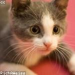 Delia Dietrich Profile Picture