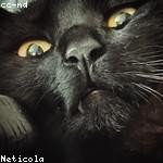 Walker Beatty Profile Picture