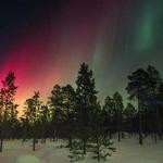 Ruthe Bednar Profile Picture