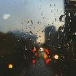 Hans Hudson Profile Picture