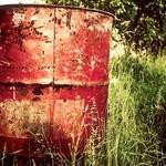 Kayley Lindgren Profile Picture