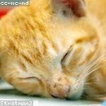 Reid Harber Profile Picture